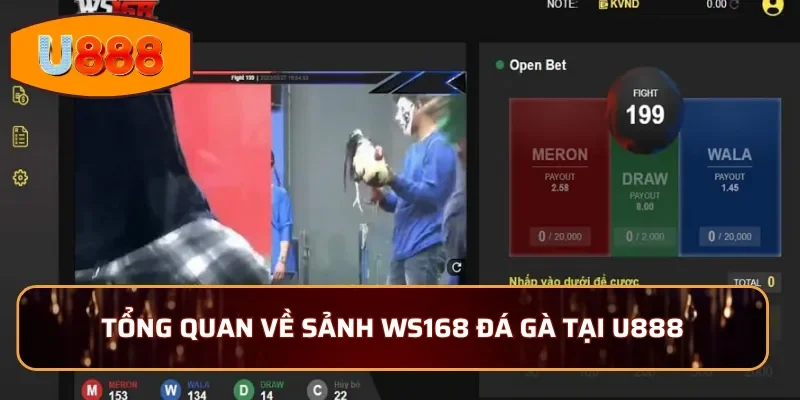Tổng quan về sảnh WS168 đá gà tại U888